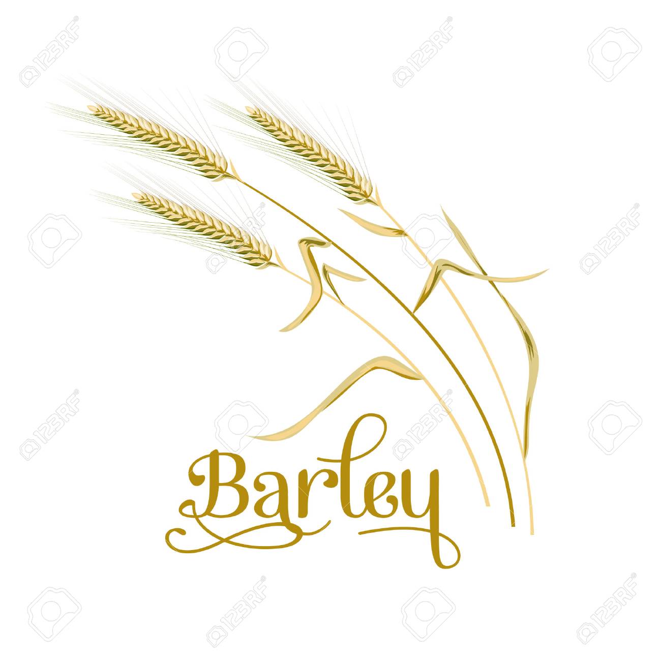 大麦 オート麦セット 植物 耳付きスパイクレット 穀物 種子 シーフ 3d アイコン ベクター デザインイラストレーションの料理ベーカリータグラベルテキスタイル用のイラスト素材 ベクタ Image