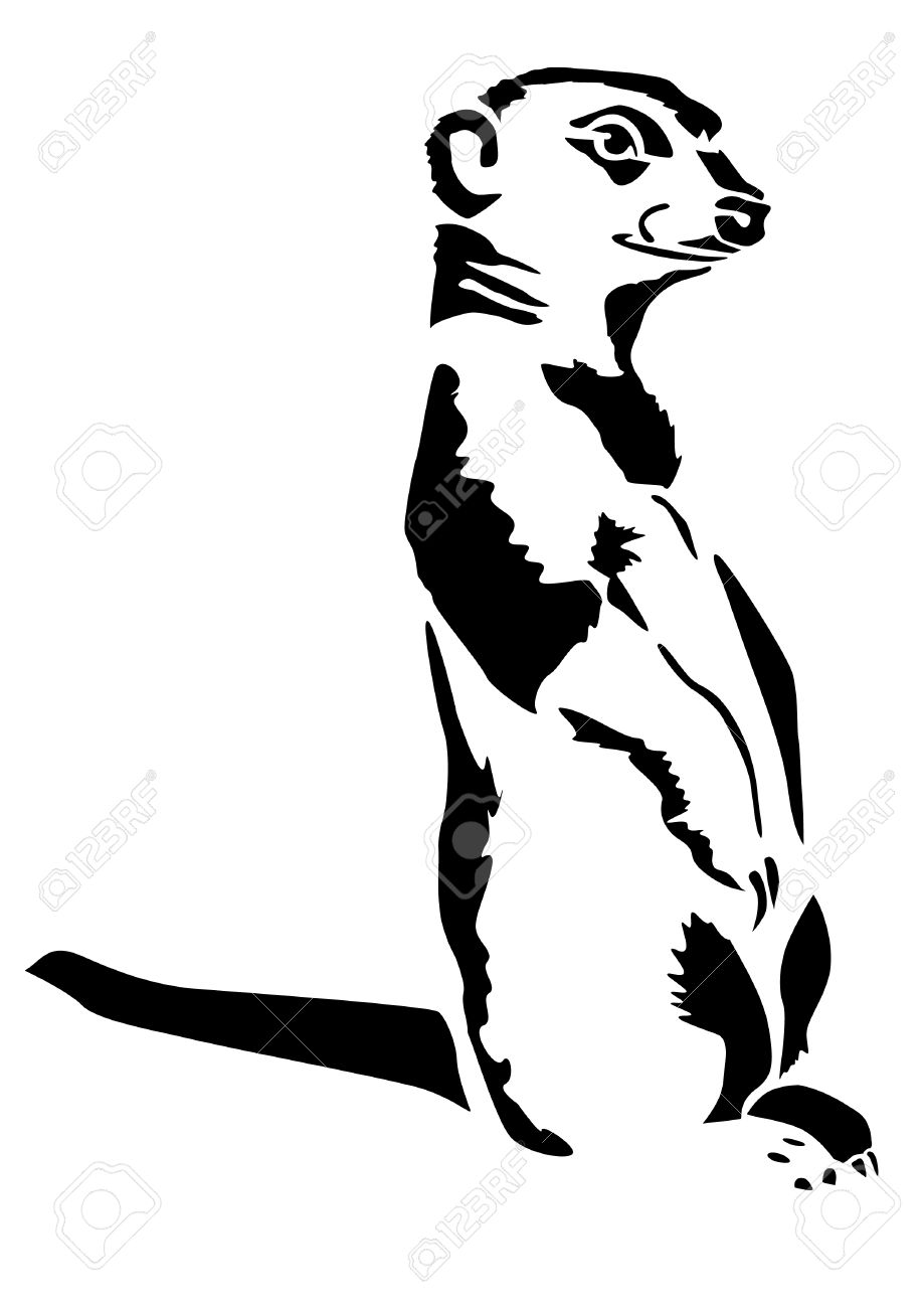 Dessin Noir Et Blanc De La Bete Suricates Carnivore Banque D Images Et Photos Libres De Droits Image