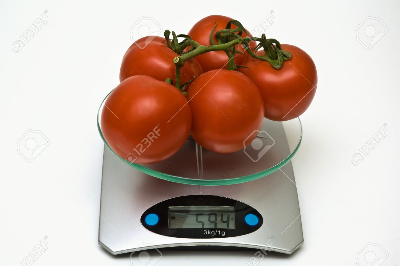 The Average Weight Of Tomato Stock Photo Picture And Royalty Free Image Image 17710259