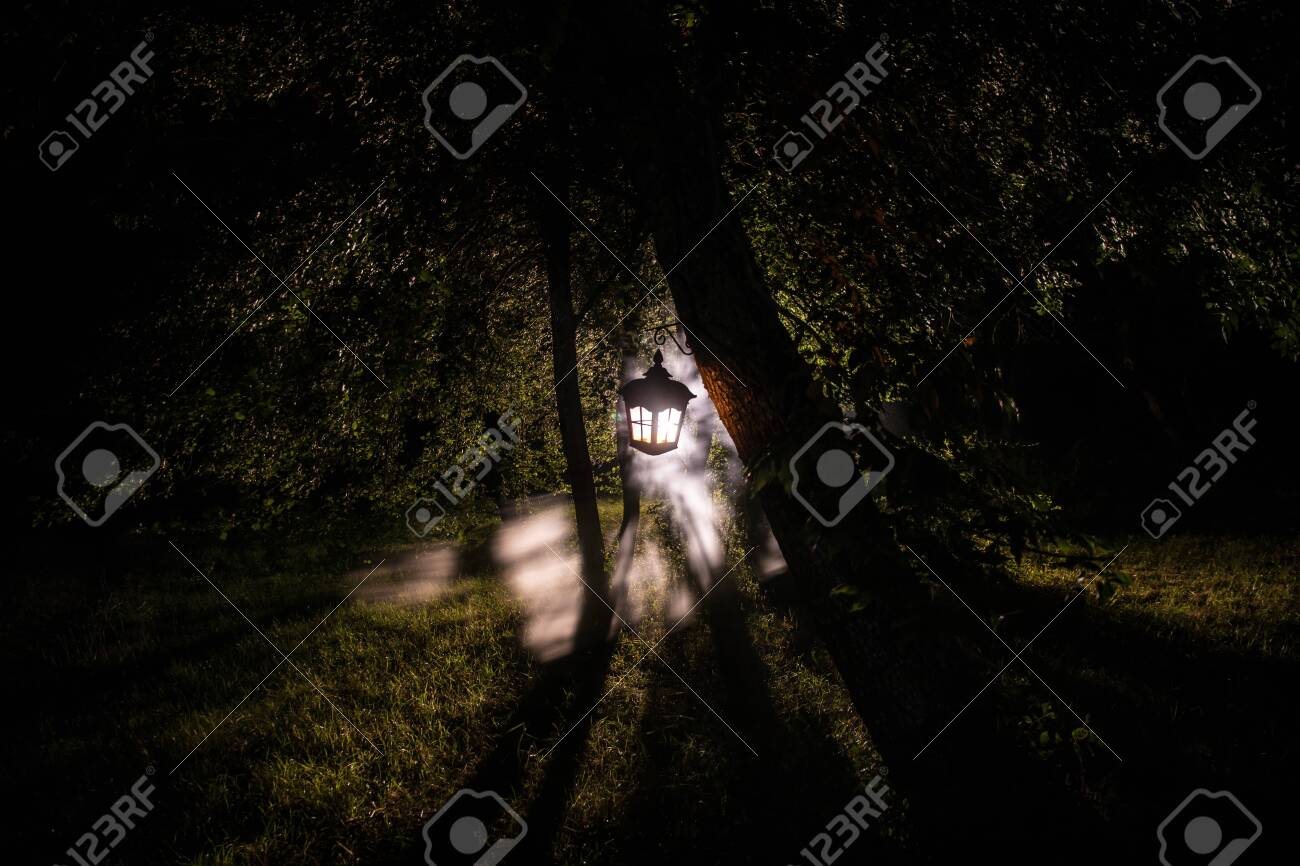 Horror Halloween concept. Burning old oil lamp in forest at night. Night scenery of a nightmare scene. Selective focus. - 129832816 Horror Halloween concept. Burning old oil lamp in forest at night. Night scenery of a nightmare scene. Selective focus. - 129832816