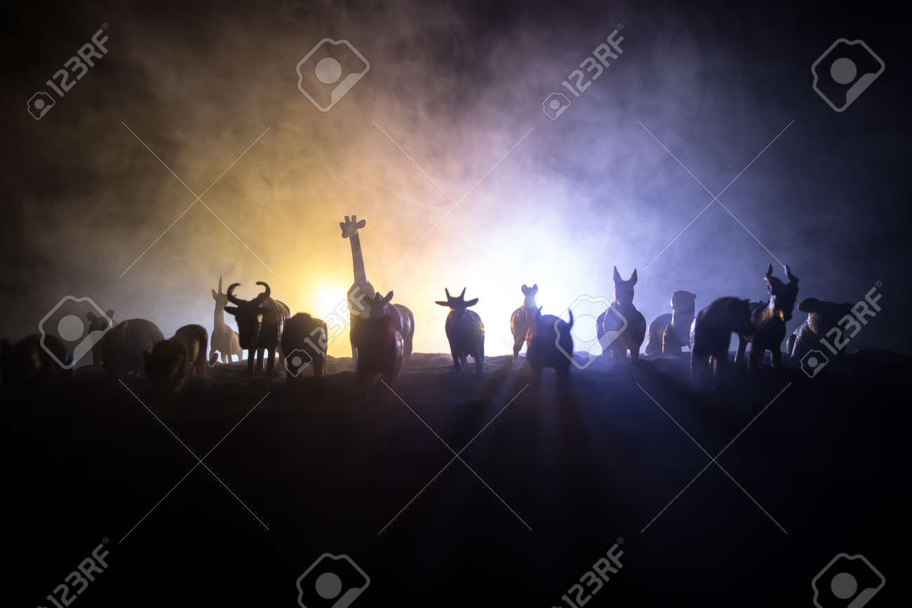 etiam-dictum-ipsum-a-felis