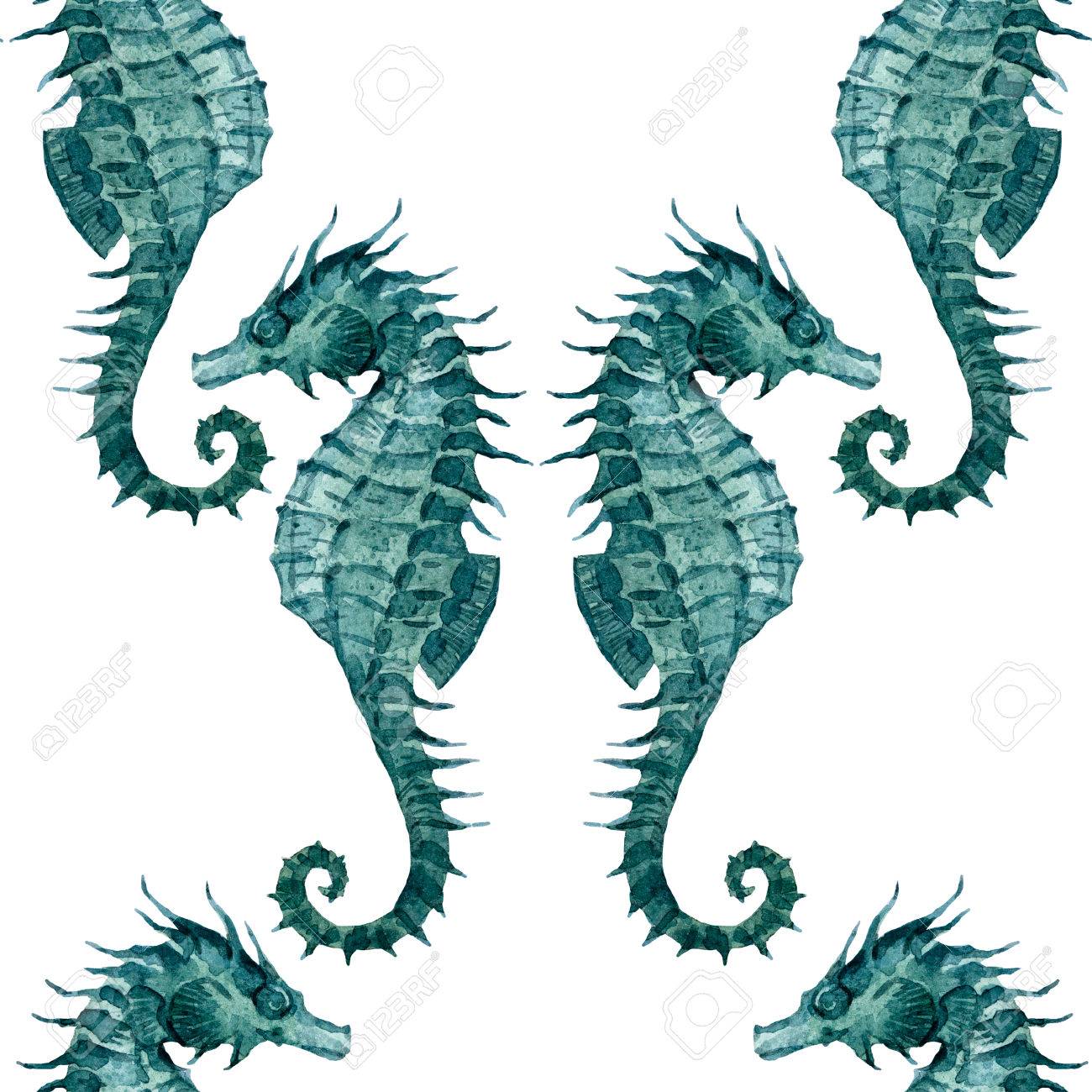 sea horse pattern