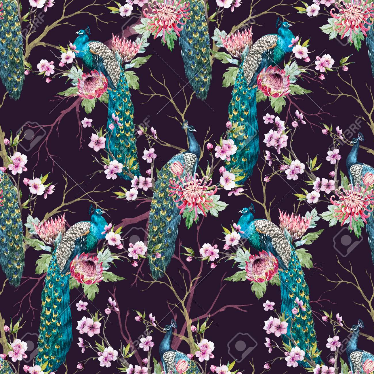 Peacock Pattern Interesting Decorating Design Peacock Pattern Interesting Decorating Design
