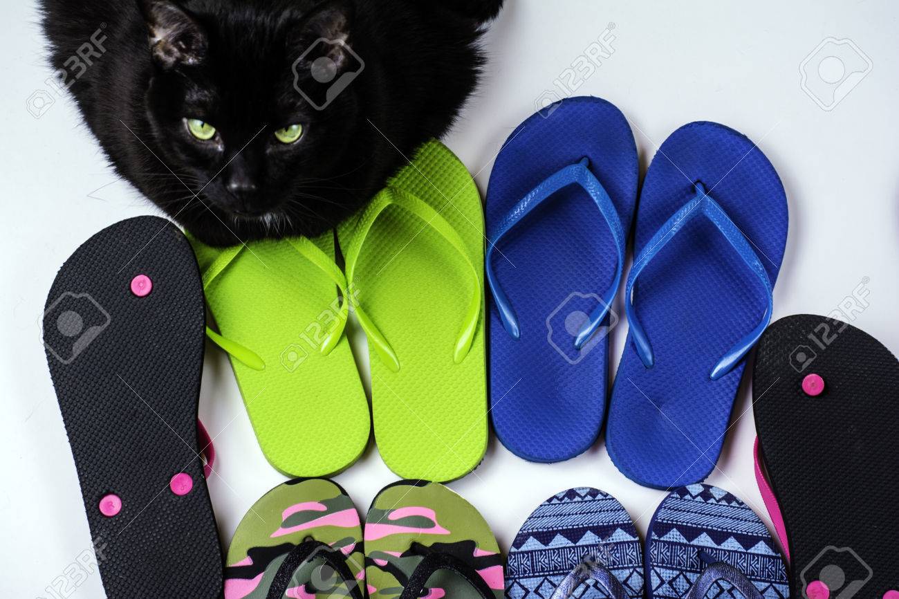 assorted flip flops