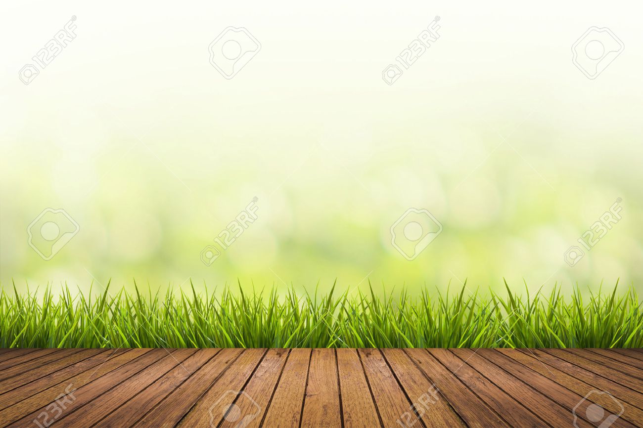 fresh spring grass with