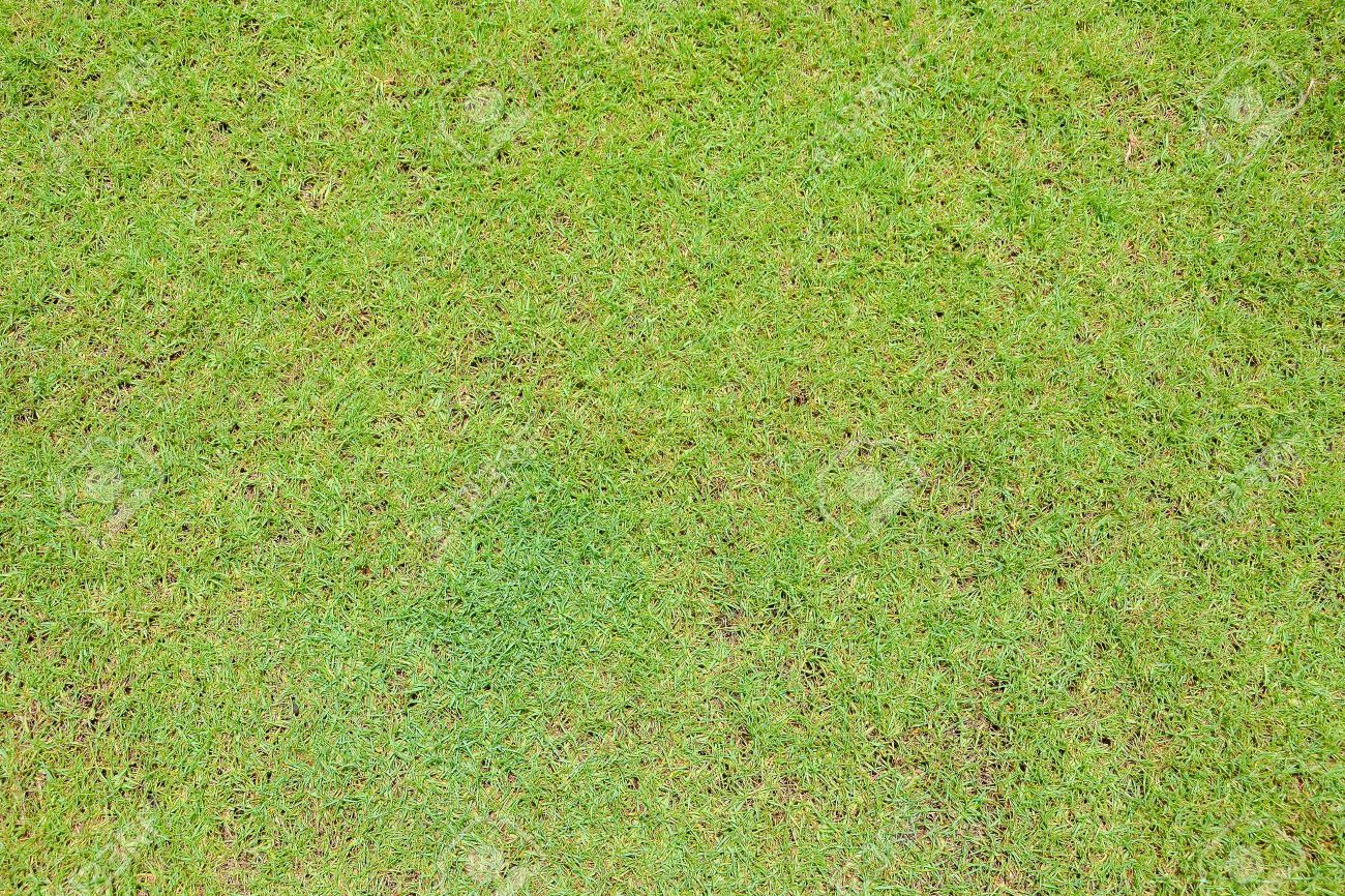 grass aerial texture golf course aerial view of green grass on ground texture background stock photo 44974810 aerial view of green grass on ground texture background grass aerial texture golf course aerial view of green grass on ground texture background stock photo 44974810 aerial view of green grass on ground texture background