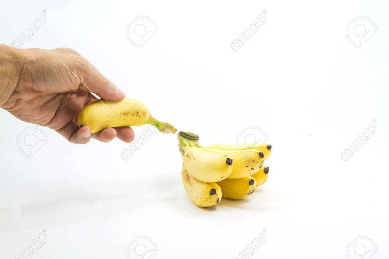 Cueillir le fruit blanc Cueillir le fruit blanc