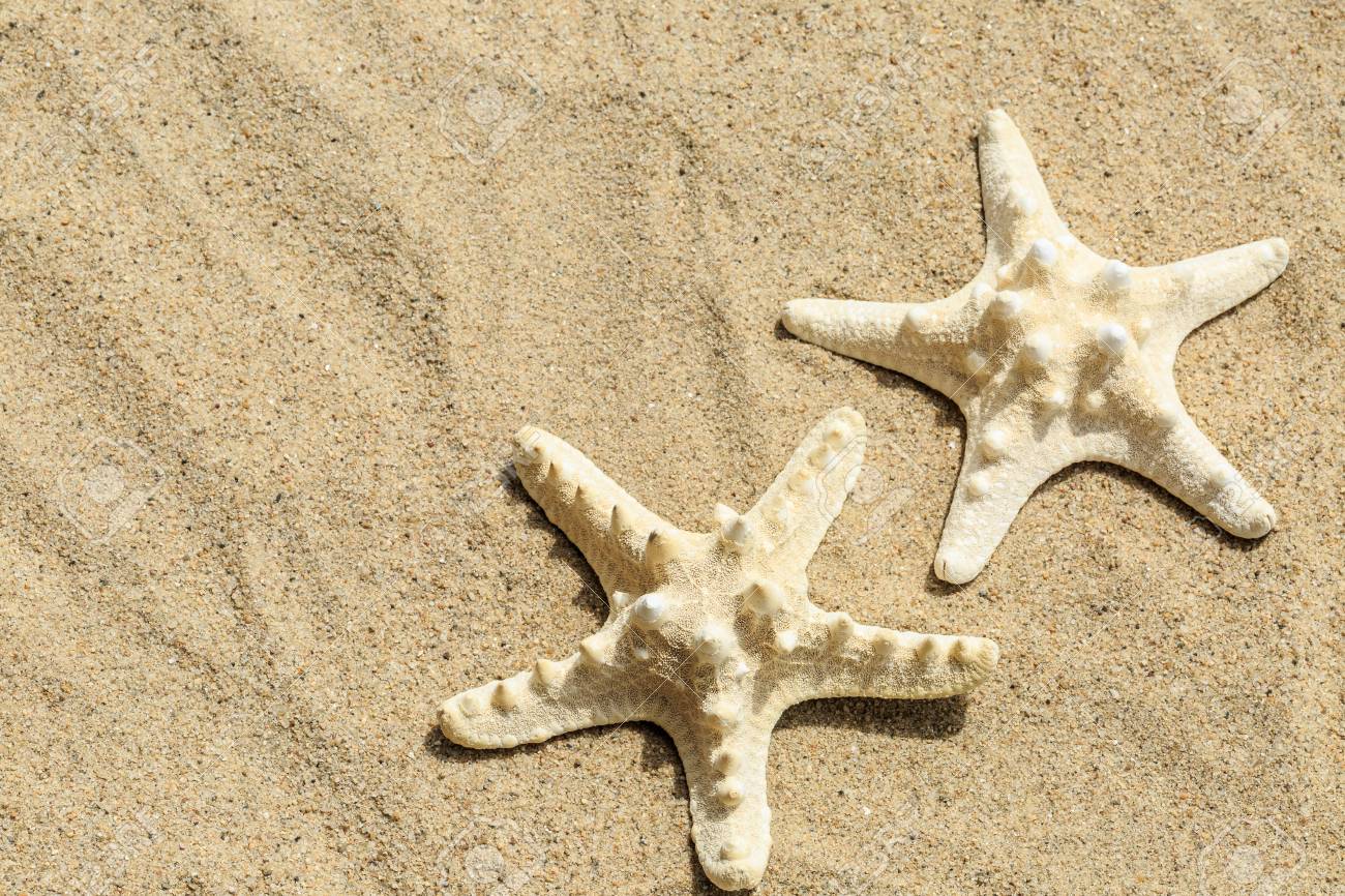砂浜のヒトデ の写真素材 画像素材 Image