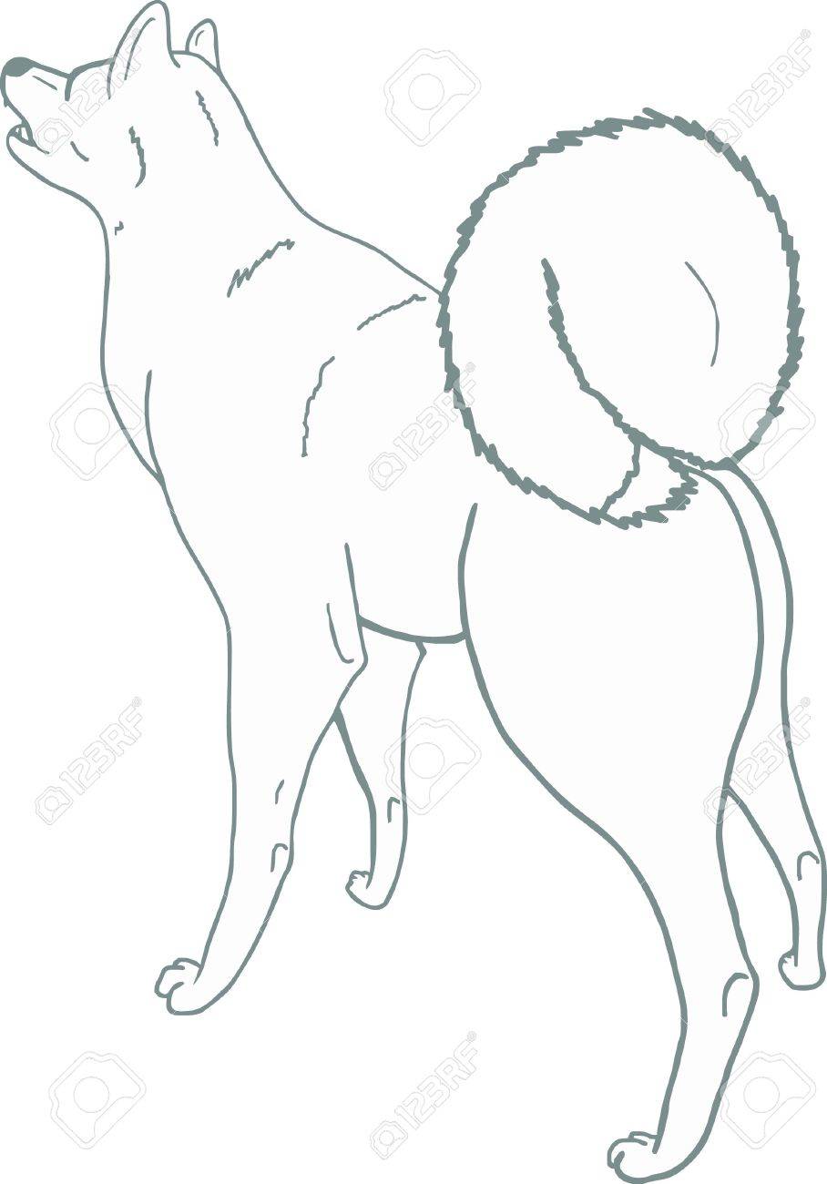 Un Simple Dessin Dun Chien De Chasse Le Laika De Sibérie Orientale