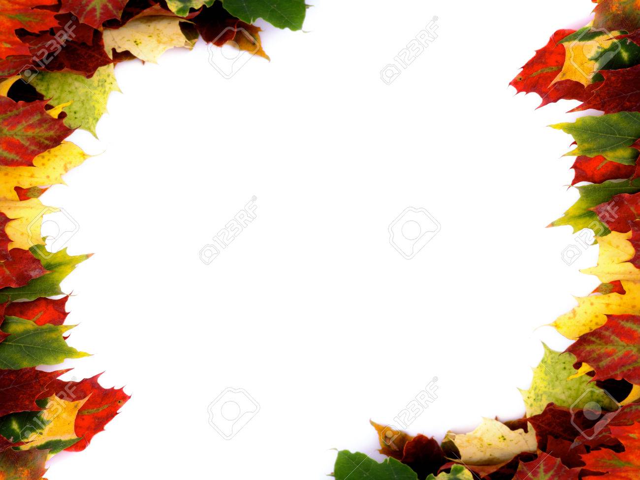 two corner borders of multi colored autumn maple leaf isolated