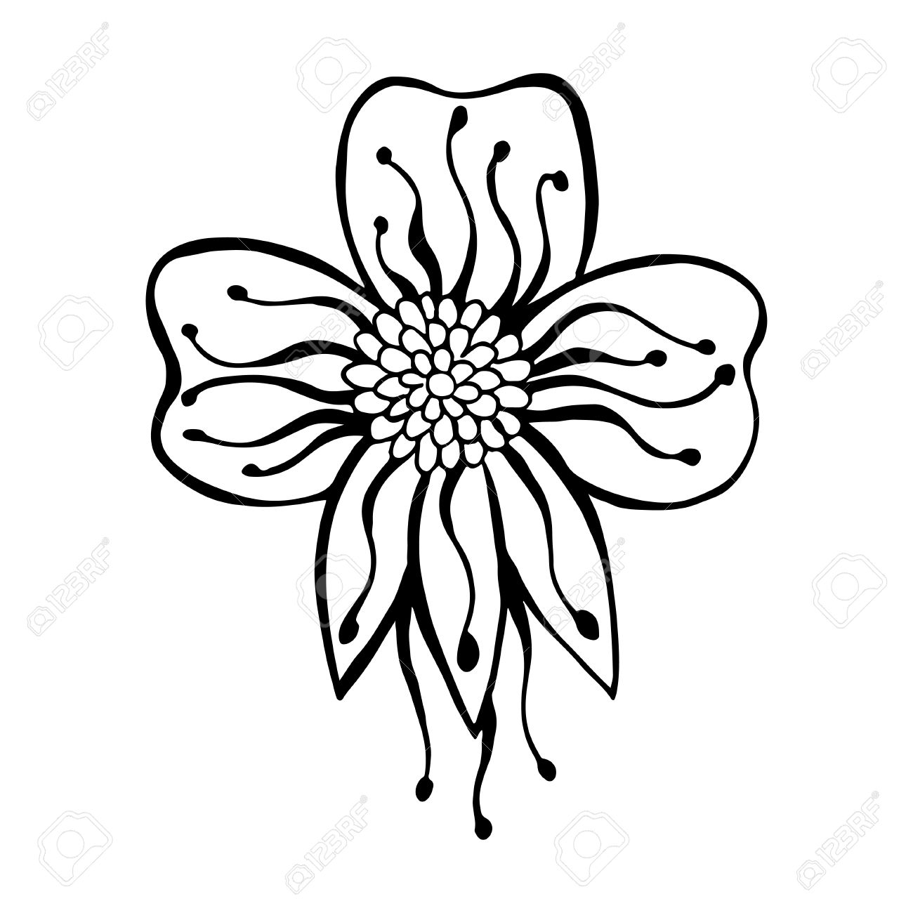 Zentangle の花 画像は手描きです 白い背景にアウトラインを黒 概略手書き素晴らしい花 印刷デザイン ファッション デザイン ジュエリー お土産 Web デザインのためのイラスト素材 ベクタ Image