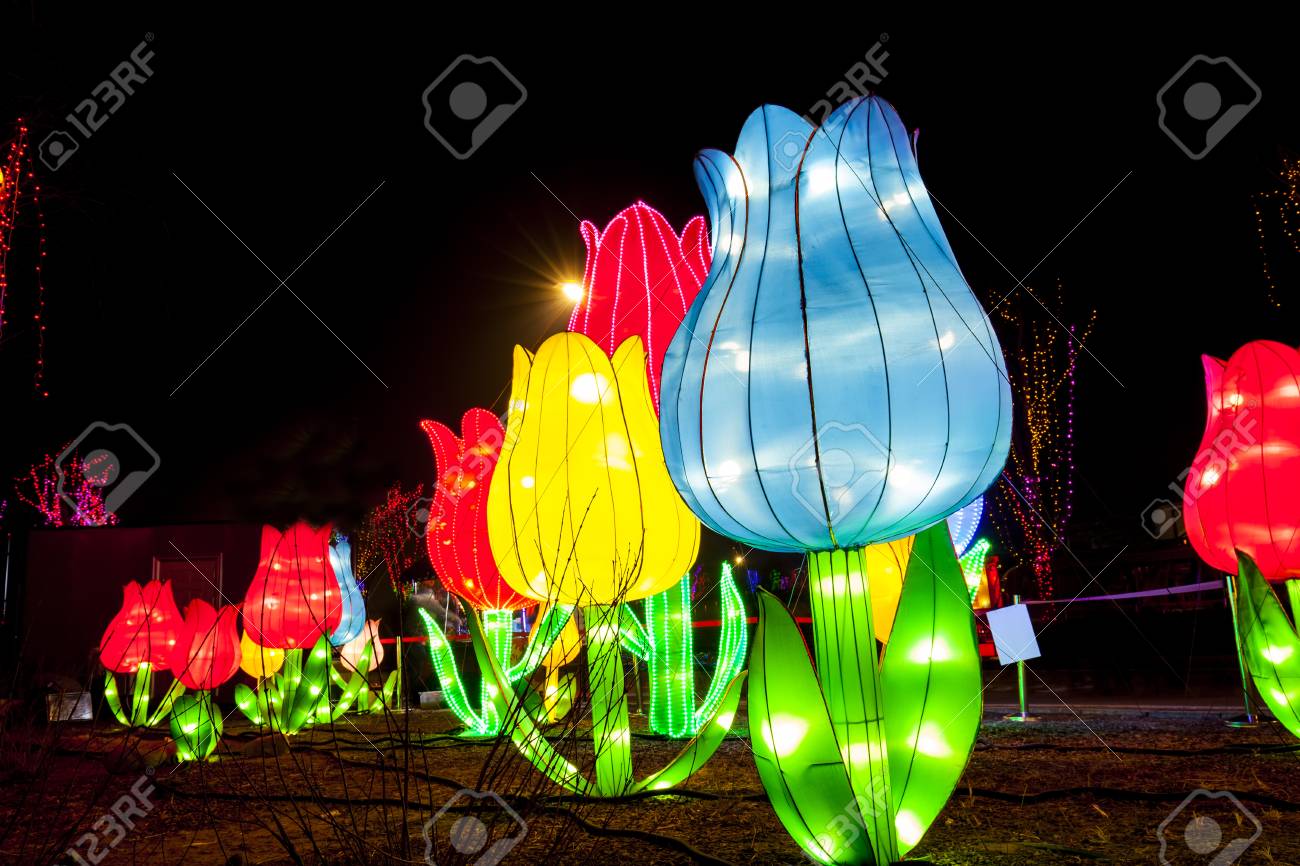 chinese lanterns in the evening the shape of flowers flower shaped paper lanterns
