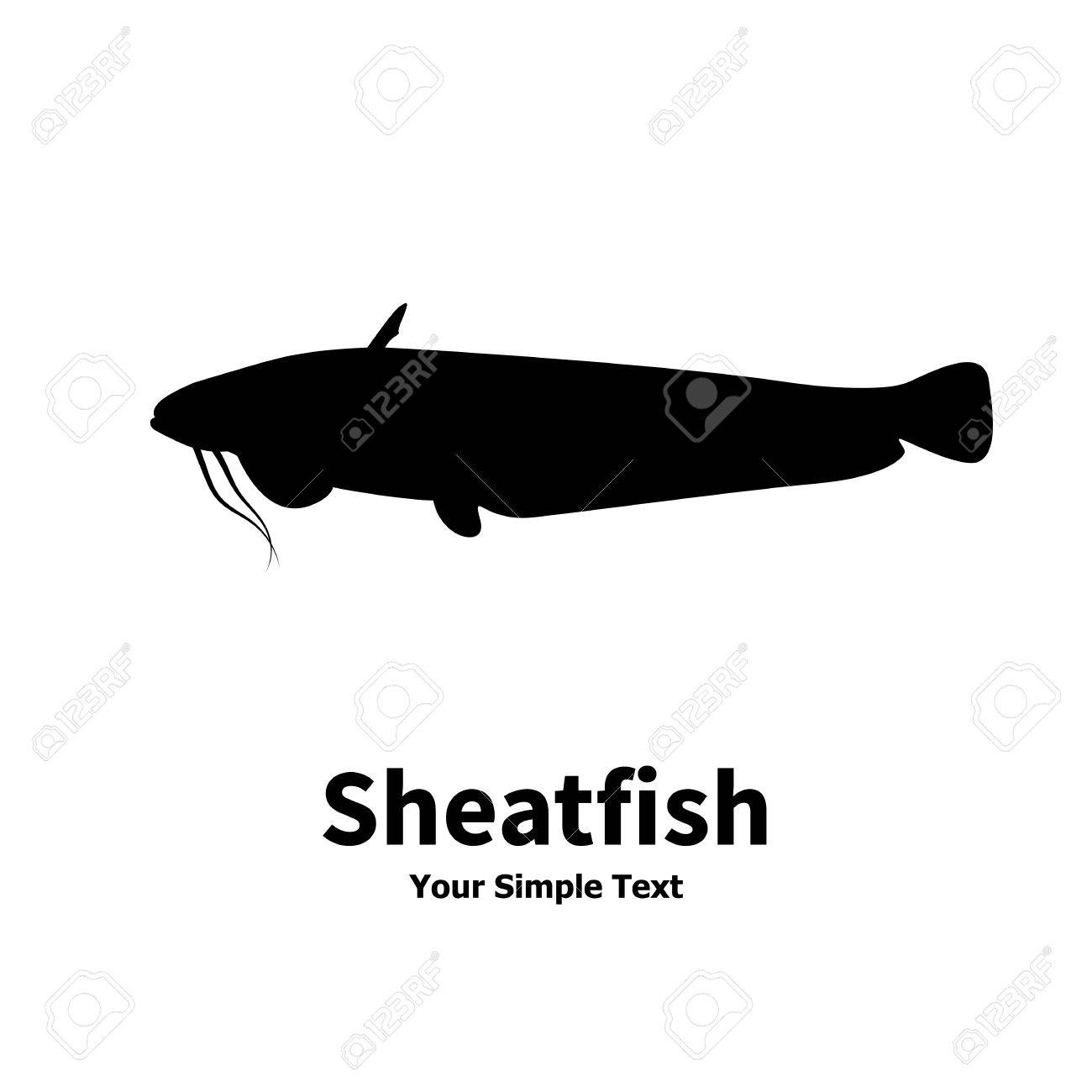 魚のナマズのベクトル イラスト シルエット 白い背景の上の隔離された Sheatfish のイラスト素材 ベクタ Image 魚のナマズのベクトル イラスト シルエット 白い背景の上の隔離された Sheatfish のイラスト素材 ベクタ Image