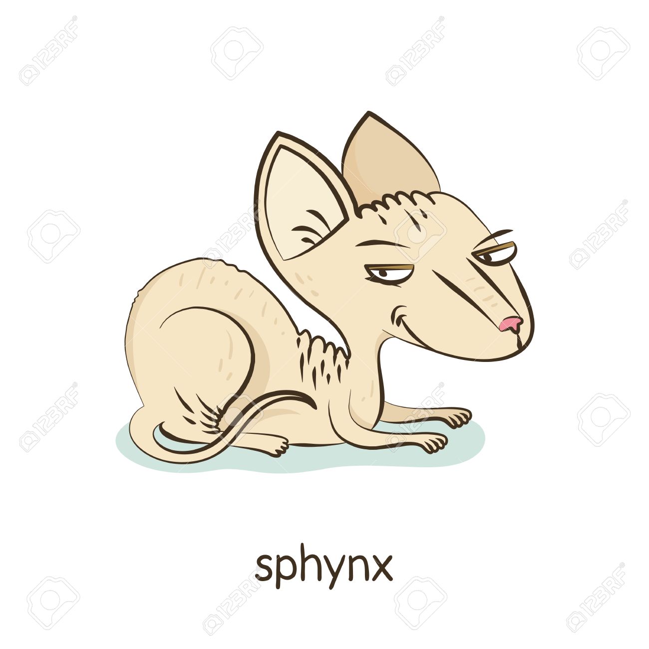 Sphynx Mignon Dessin Anime Vecteur Caractere Chat Dort Sur Oreiller Avec Ours En Peluche Isole Sur Blanc Avec La Race Legende Clip Art Libres De Droits Vecteurs Et Illustration Image