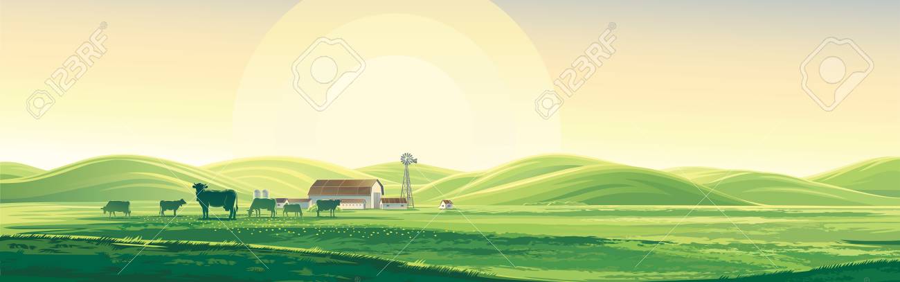 夏牛ファーム 夜明け 細長い形式の丘の上から眺める田園風景 のイラスト素材 ベクタ Image
