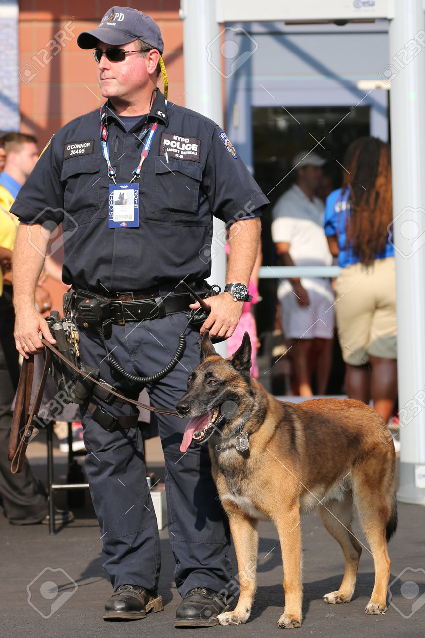 Maglietta Personalizzata Per Addestratore Di Cani K9: Cane Da Lavoro Militare, Compagno E Protettore - Italia