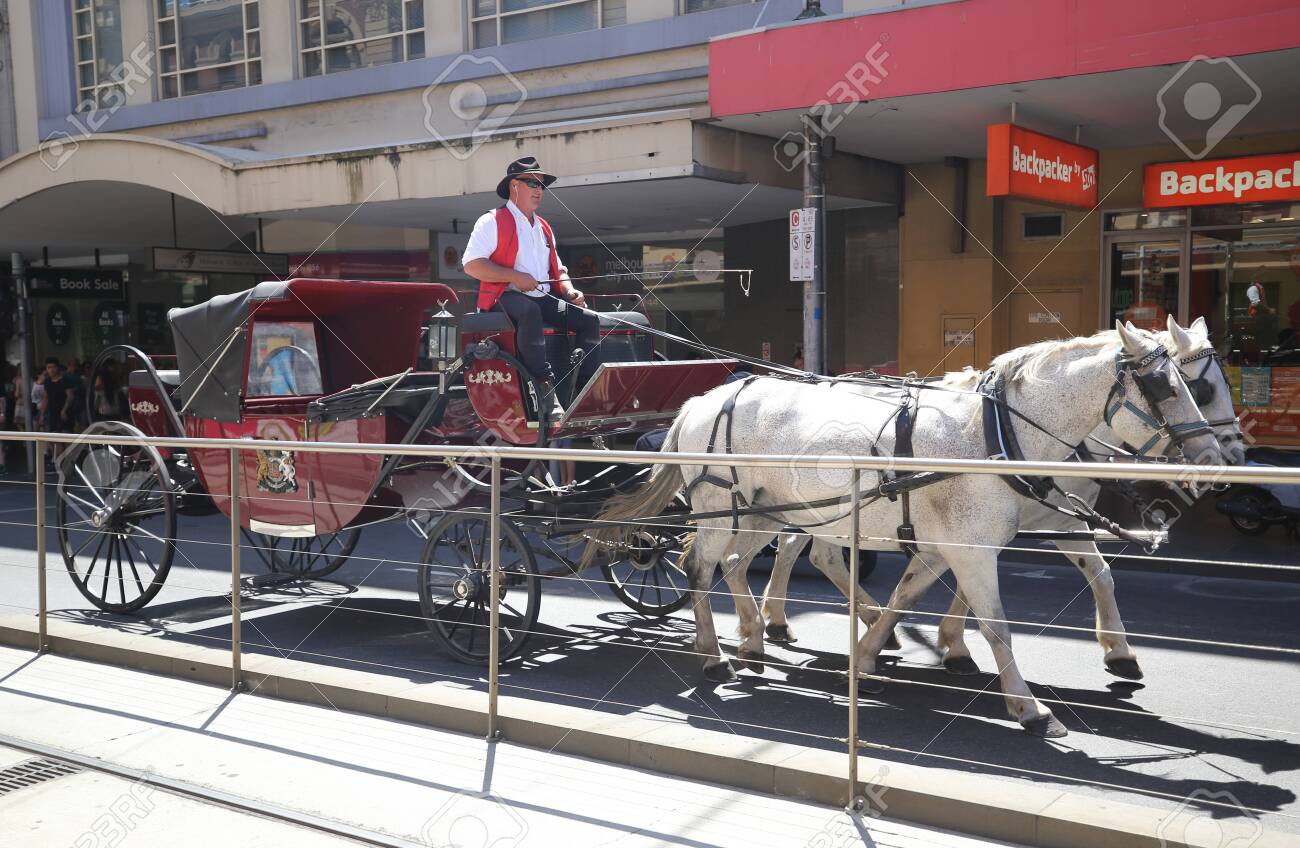 horse drawn carriage tours