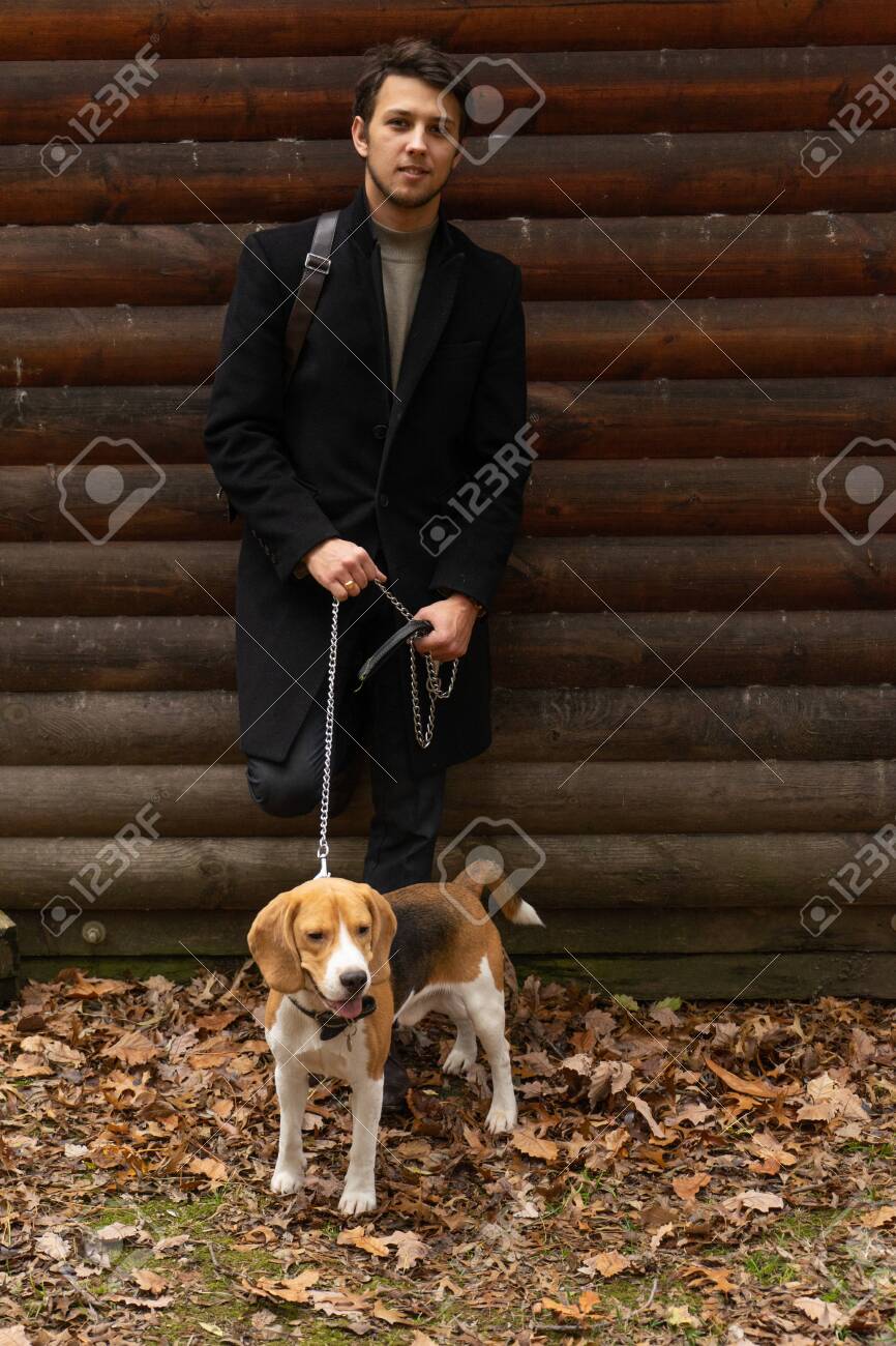 A Man With A Hunting Dog Beagle At A Country House Stock Photo, Picture and  Royalty Free Image. Image 135644889., image size:866x1300