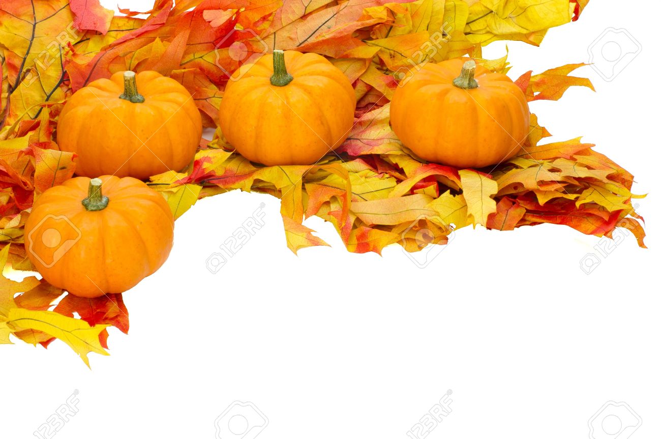 Image result for small   fall  leaf images