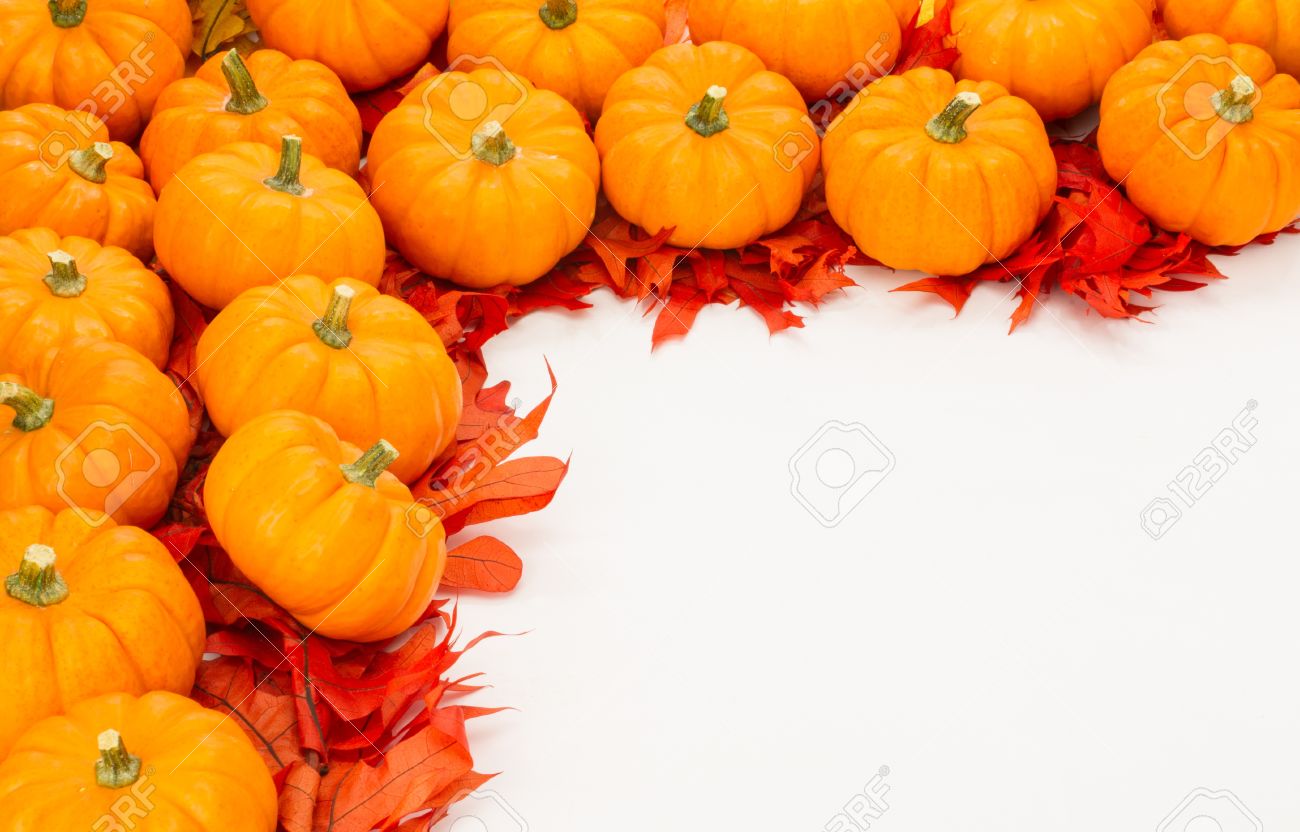 fall border of small pumpkins on red leaves stock photo picture and