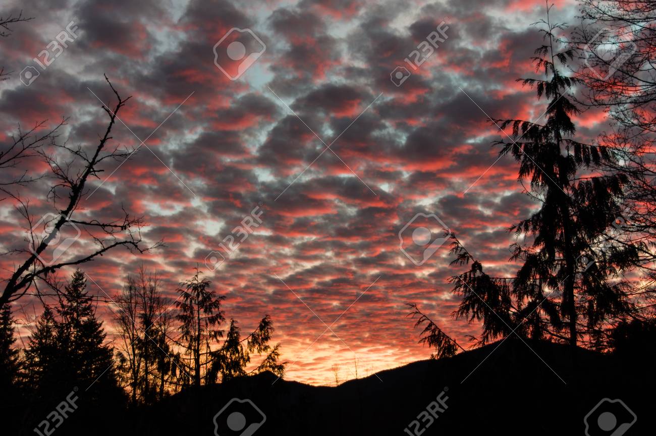 赤い雲の形成と木の夕景 の写真素材 画像素材 Image