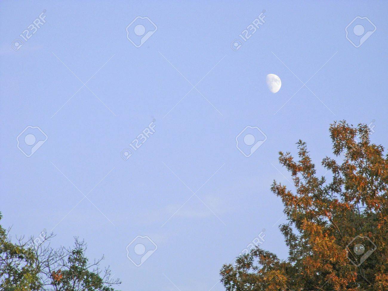 夕方の月 の写真素材 画像素材 Image