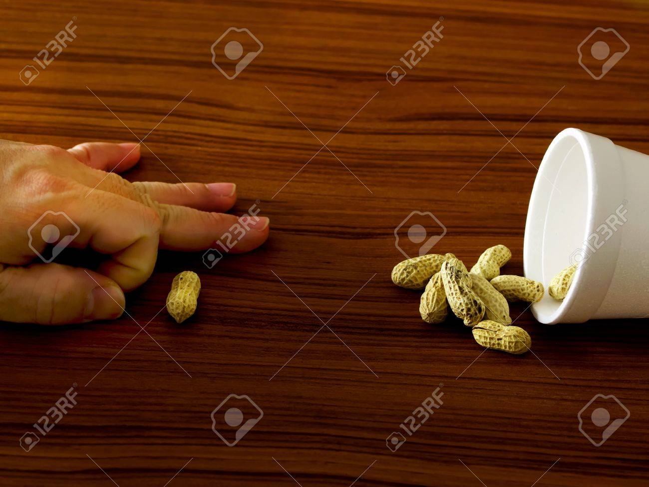 etiam-dictum-ipsum-a-felis