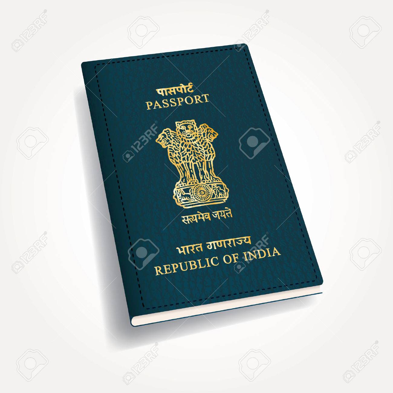 ベクトル インドのパスポート のイラスト素材 ベクタ Image 3087