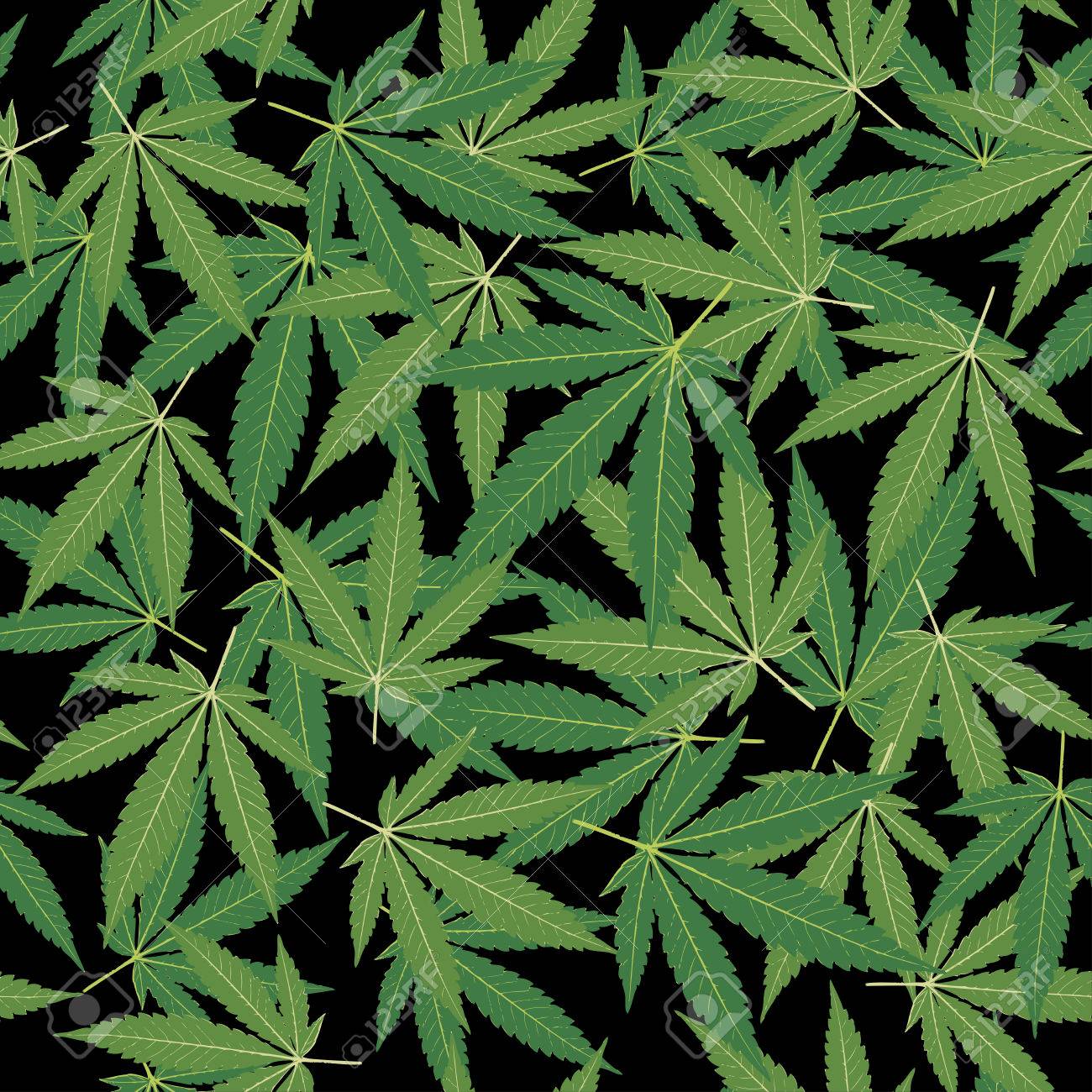 Prime Video: Cannabis medica, image size:1300x1300