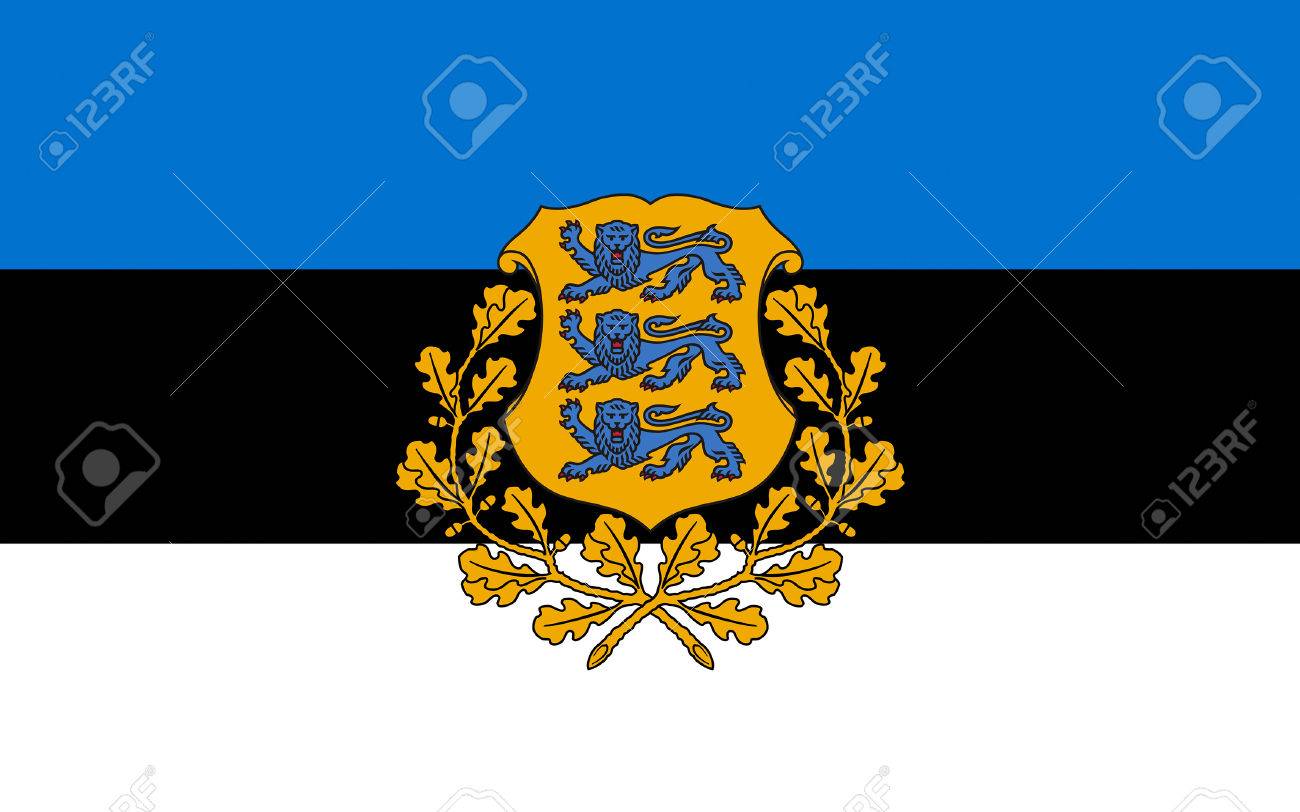 Estonia Flag Black Leather Keyring estonian tallinn baltic europe maarahvas NEW Estonia Flag Black Leather Keyring estonian tallinn baltic europe maarahvas NEW
