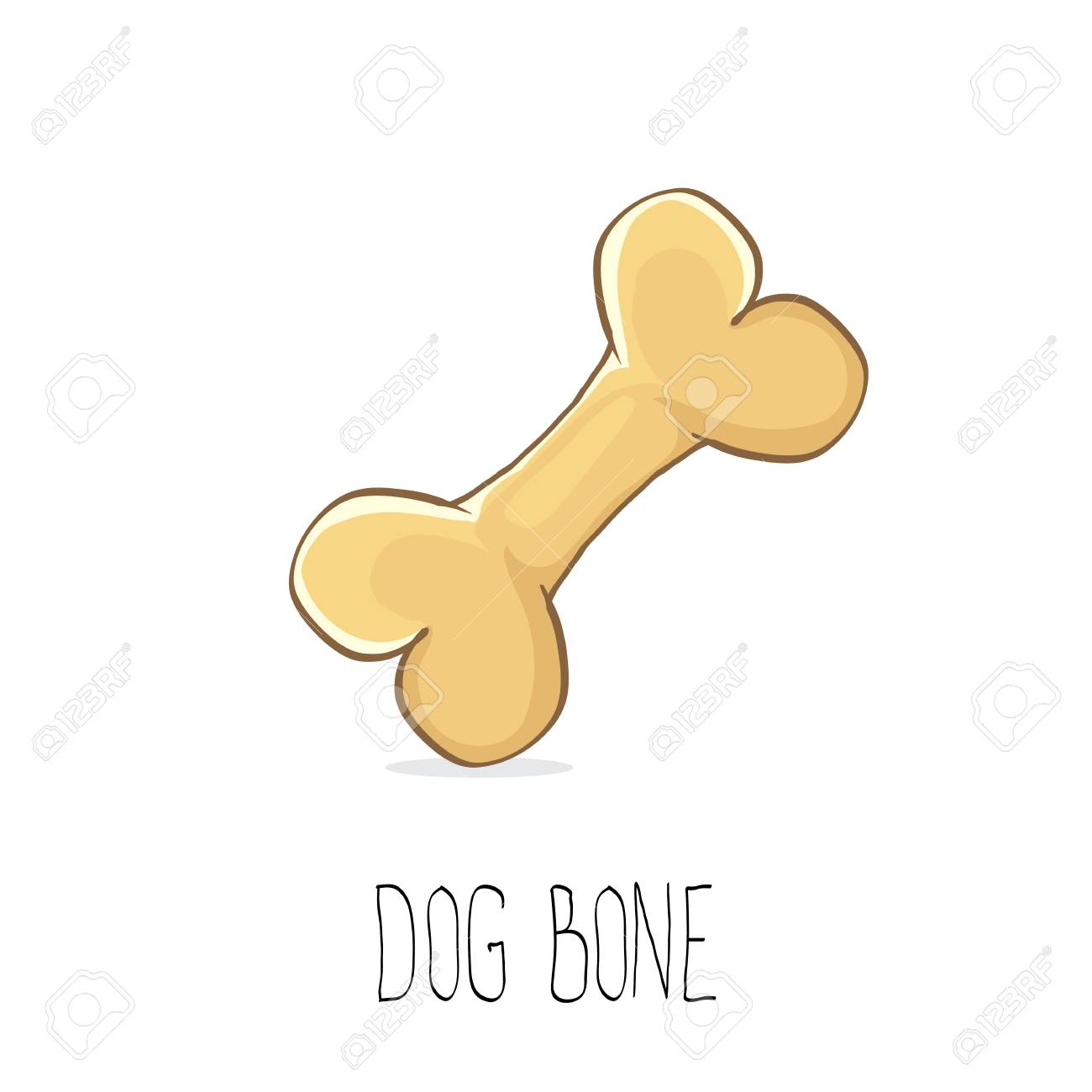 cute bone