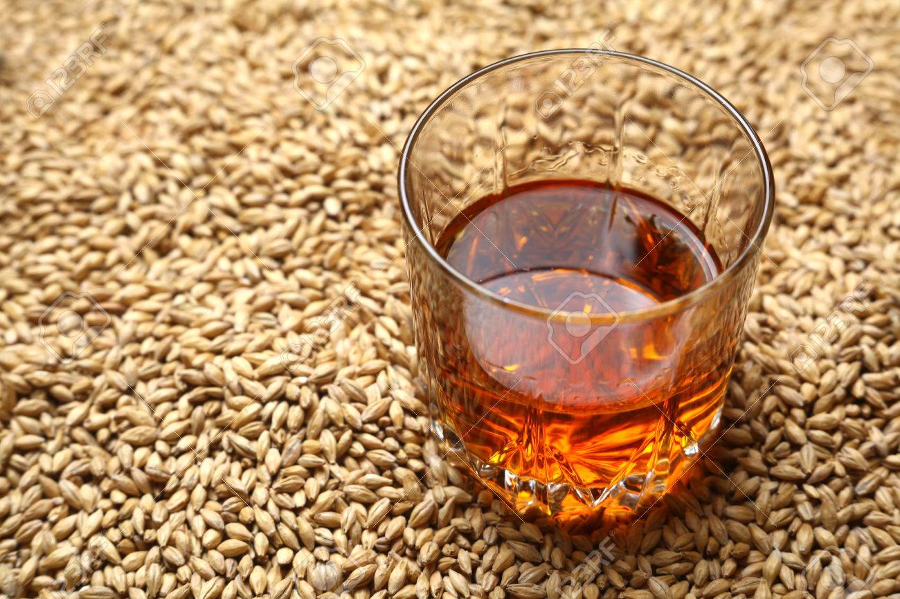 Tumbler glass with whiskey standing on barley malt grains - 58287929 Tumbler glass with whiskey standing on barley malt grains - 58287929