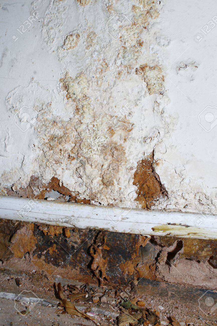 Schimmel An Der Wand Von Wasser Leck Fußbodenheizung Verursacht ... Schimmel An Der Wand Von Wasser Leck Fußbodenheizung Verursacht ...