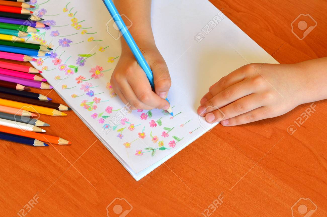 Lenfant Tient Un Crayon à La Main Et Dessine Un Pré Avec Des Fleurs Un Ensemble De Crayons Art Des Enfants Leçon De Maternelle Enfant Fleur