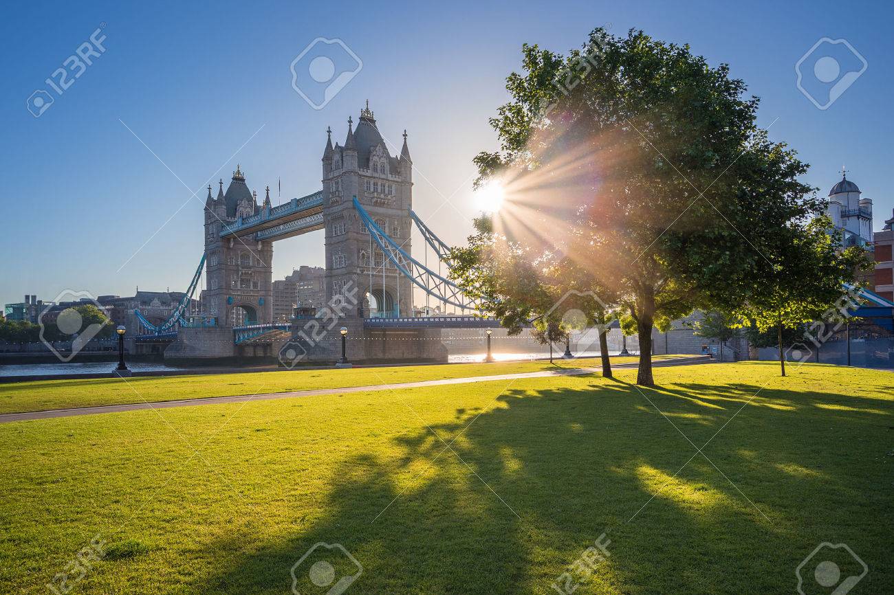 木と緑の草 ロンドンのタワー ブリッジの日の出 の写真素材 画像素材 Image