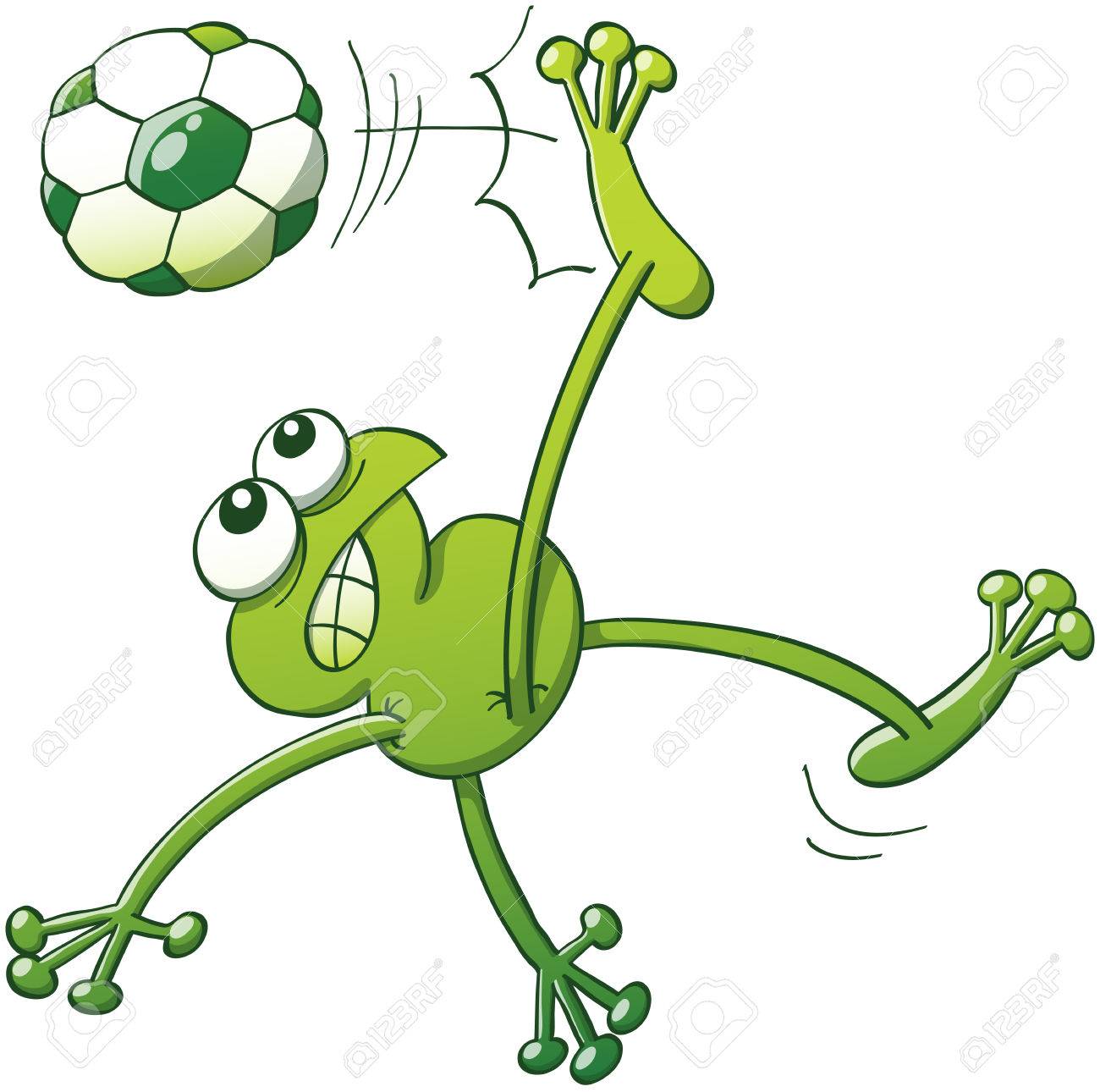 frog body