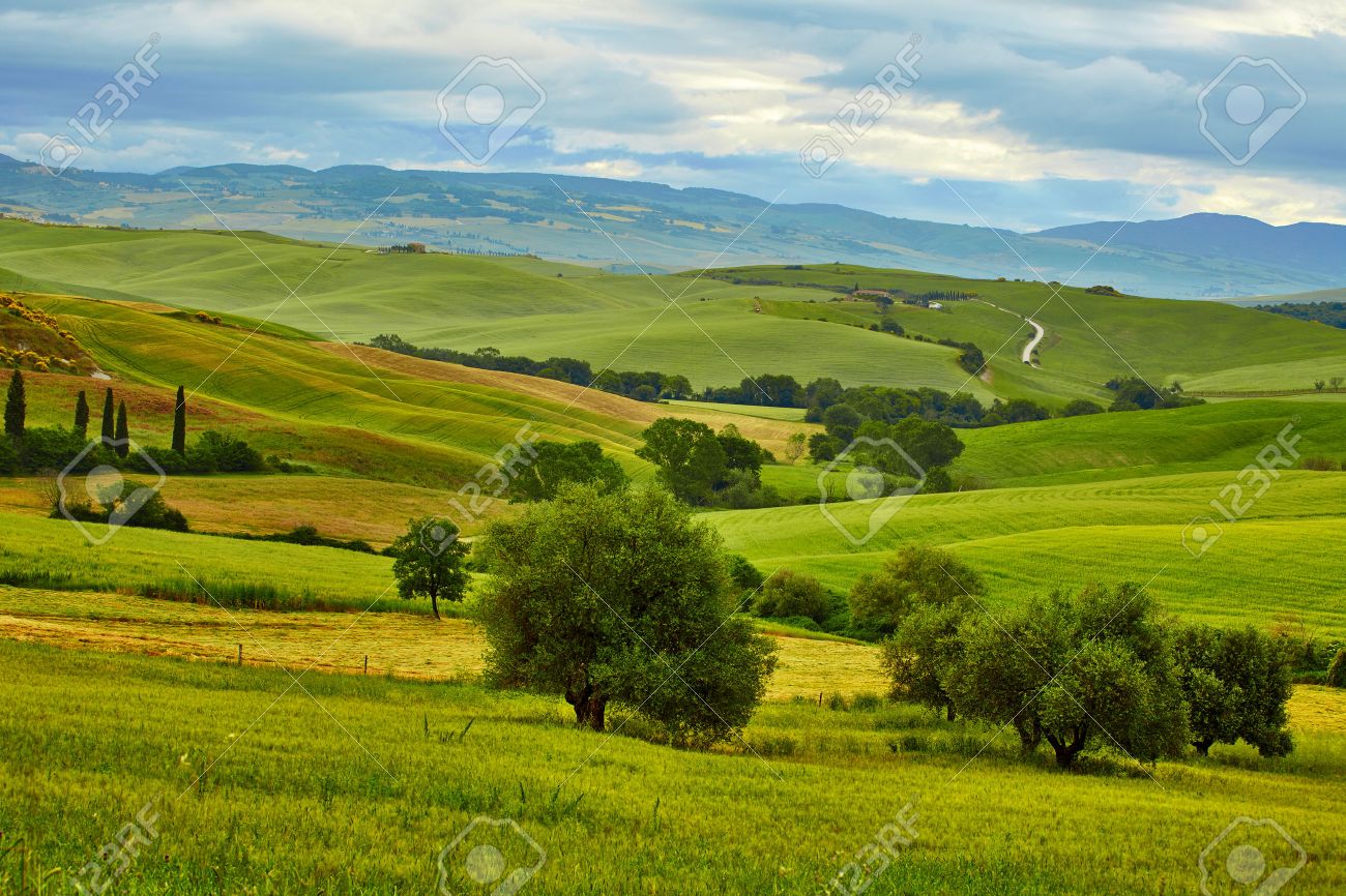 Tuscany, rural sunset landscape. Countryside farm, cypresses trees, green field, sun light and cloud. - 45713431 Tuscany, rural sunset landscape. Countryside farm, cypresses trees, green field, sun light and cloud. - 45713431
