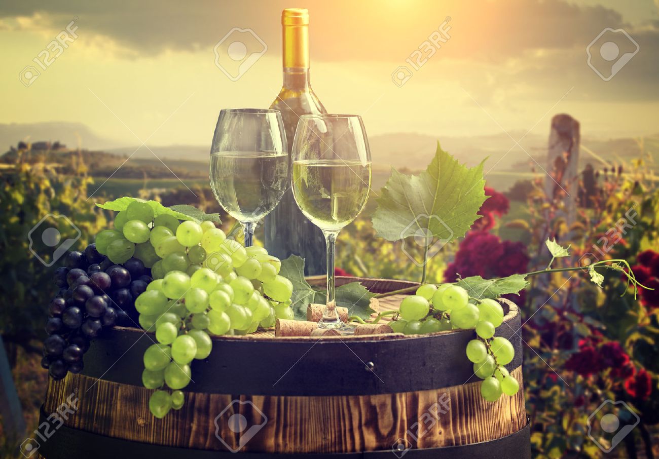 White wine with barrel on vineyard in Chianti, Tuscany, Italy - 51568522 White wine with barrel on vineyard in Chianti, Tuscany, Italy - 51568522
