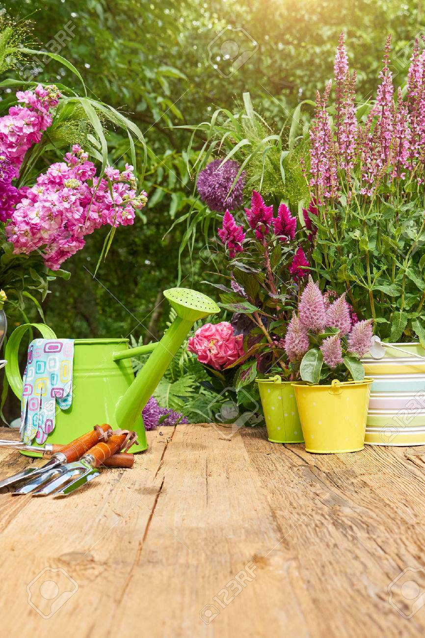 Gardening tools on the terrace in the garden - 51591586 Gardening tools on the terrace in the garden - 51591586
