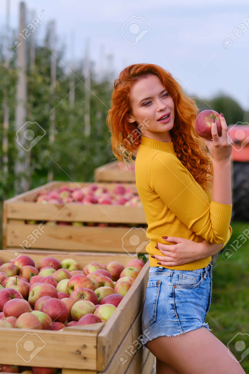 young woman cute blond girl smiling among red apples sun light flares of rays looking at camera on summer outdoor copy space background - 163057247 young woman cute blond girl smiling among red apples sun light flares of rays looking at camera on summer outdoor copy space background - 163057247
