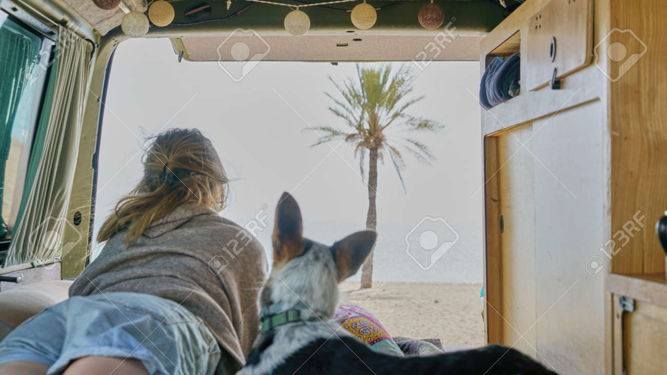 girl and her dog on a bed of a self converted camper van looking through the window living van life - 166437939 girl and her dog on a bed of a self converted camper van looking through the window living van life - 166437939
