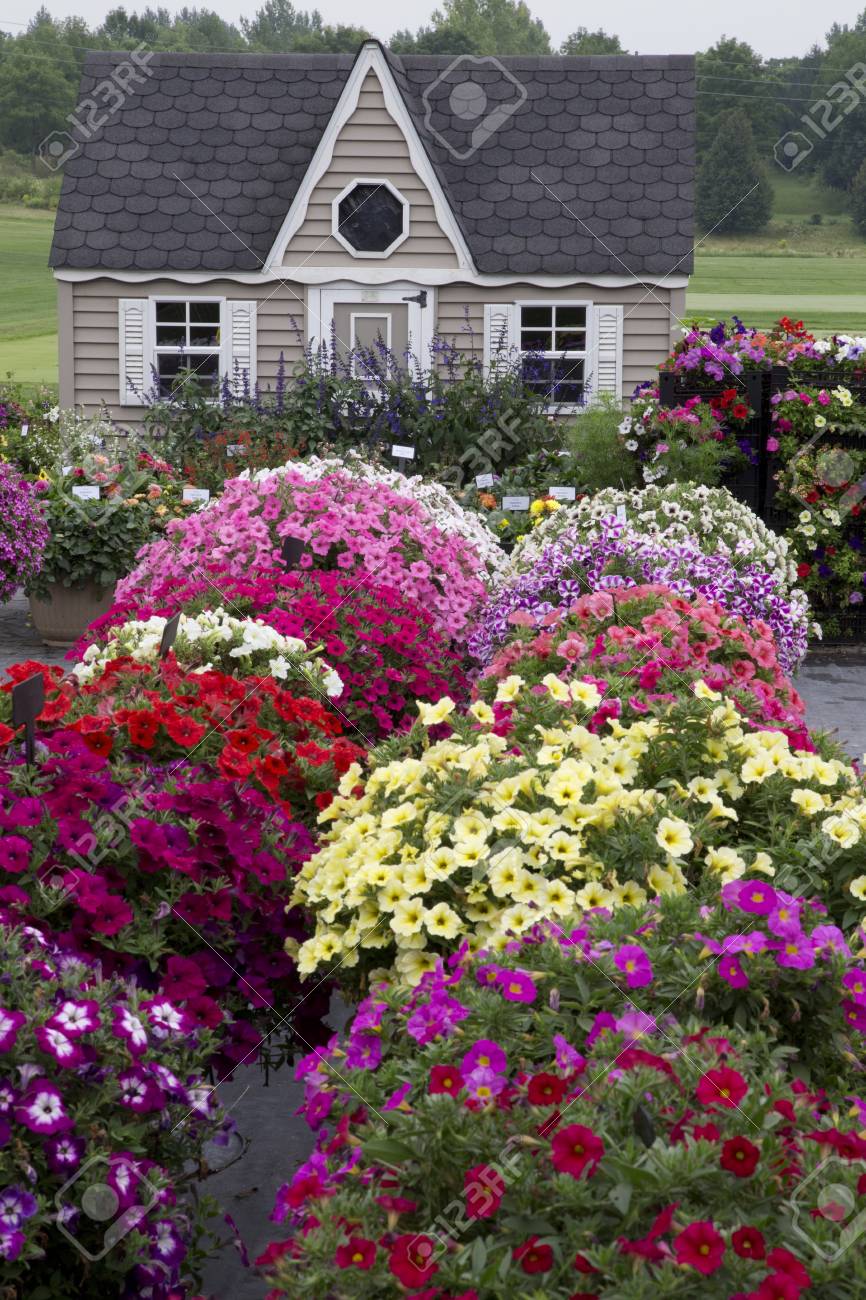 Schoner Garten Mit Gartenhaus Und Blumen Lizenzfreie Fotos Bilder Und Stock Fotografie Image 45277758