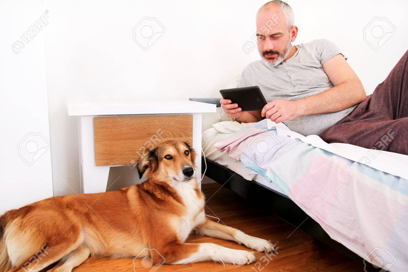 自宅の犬を持つ男 ラフ コリー犬ベッド近くの下に横たわっていると ベッドの上の彼の所有者スマート フォン タブレットで彼を撃つし 寝室 が写真を取る間 休んでいます 素敵な犬 ペット の写真素材 画像素材 Image