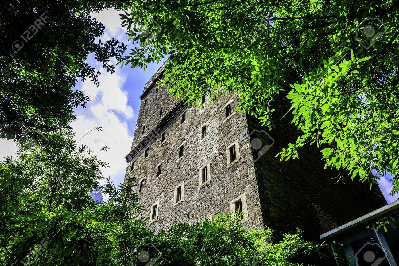 etiam-dictum-ipsum-a-felis