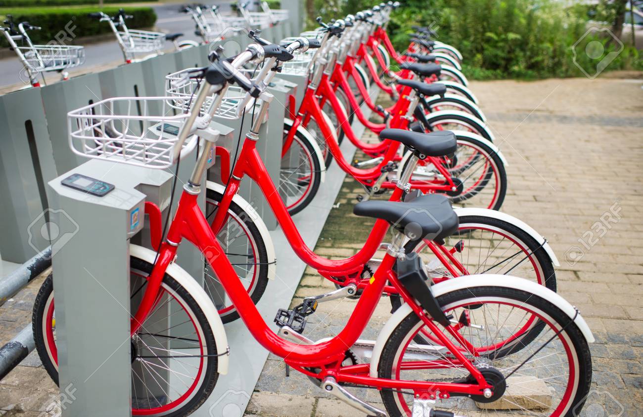 popular bicycle