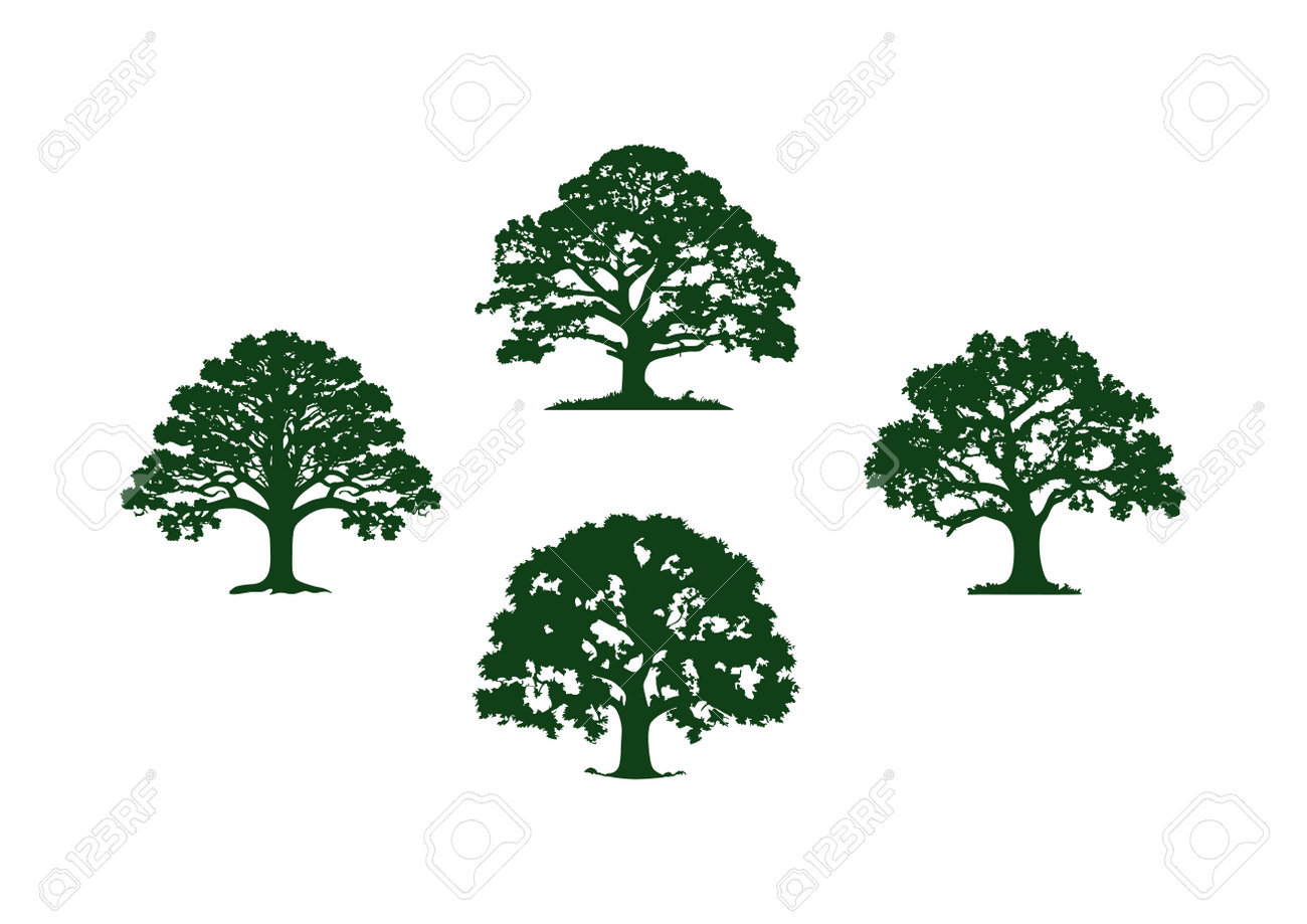 Oak Tree Silhouettes Vector Of Oak Trees Clipart Natural Growth Plant  Symbol, Environment Forest Element Icon Collection Set Royalty Free SVG,  Cliparts, Vectors, and Stock Illustration. Image 207900717., image size:1300x919
