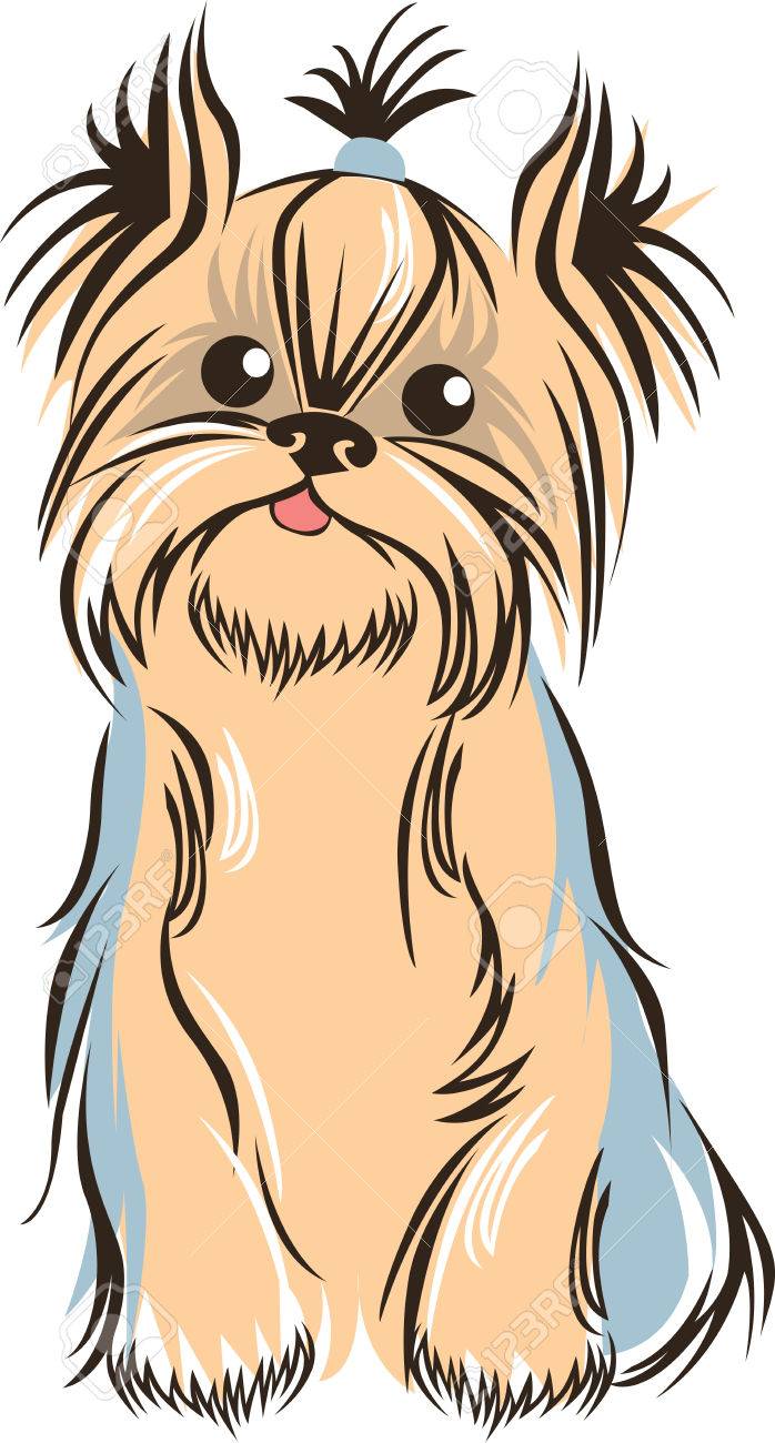犬種ヨークシャー テリアのアウトライン ベクトル イラスト のイラスト素材 ベクタ Image