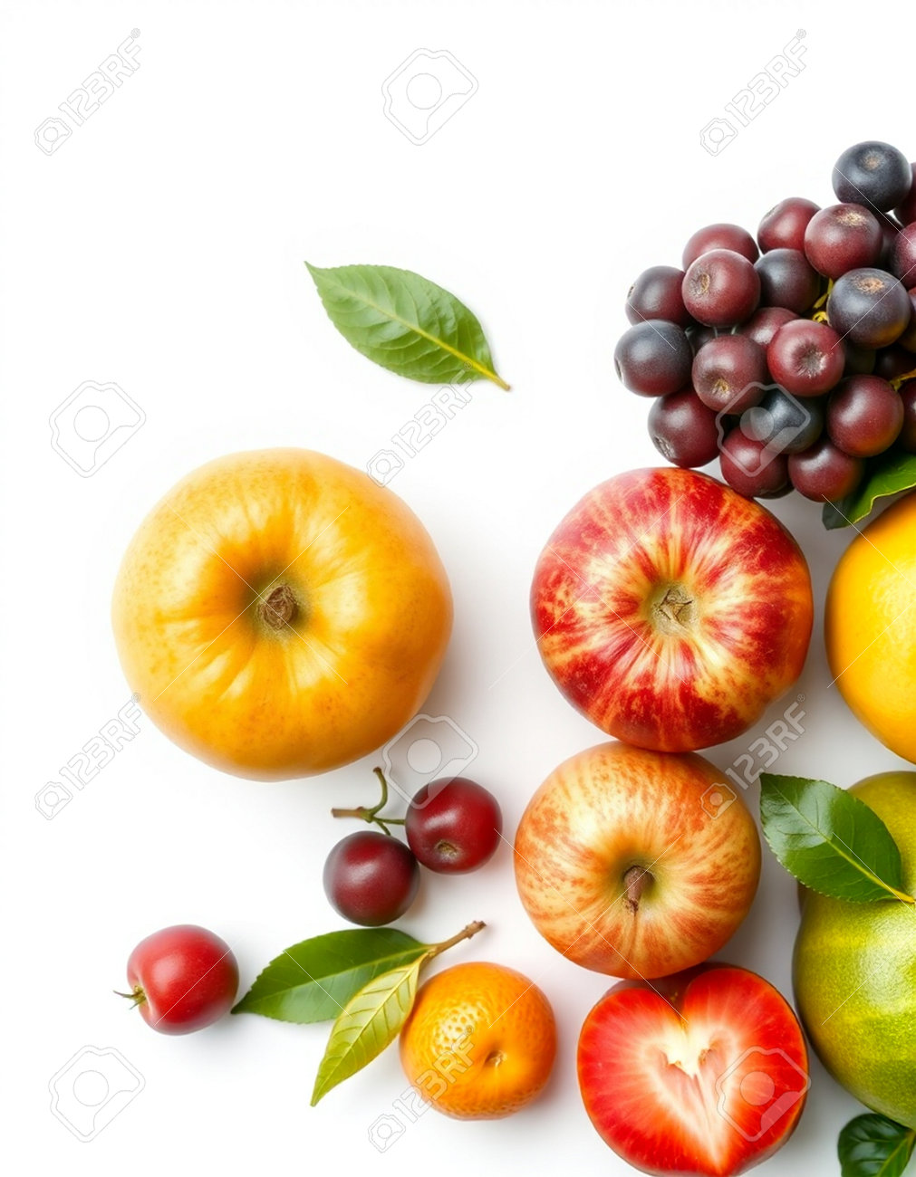 etiam-dictum-ipsum-a-felis