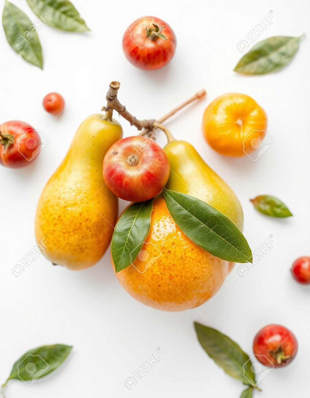 etiam-dictum-ipsum-a-felis