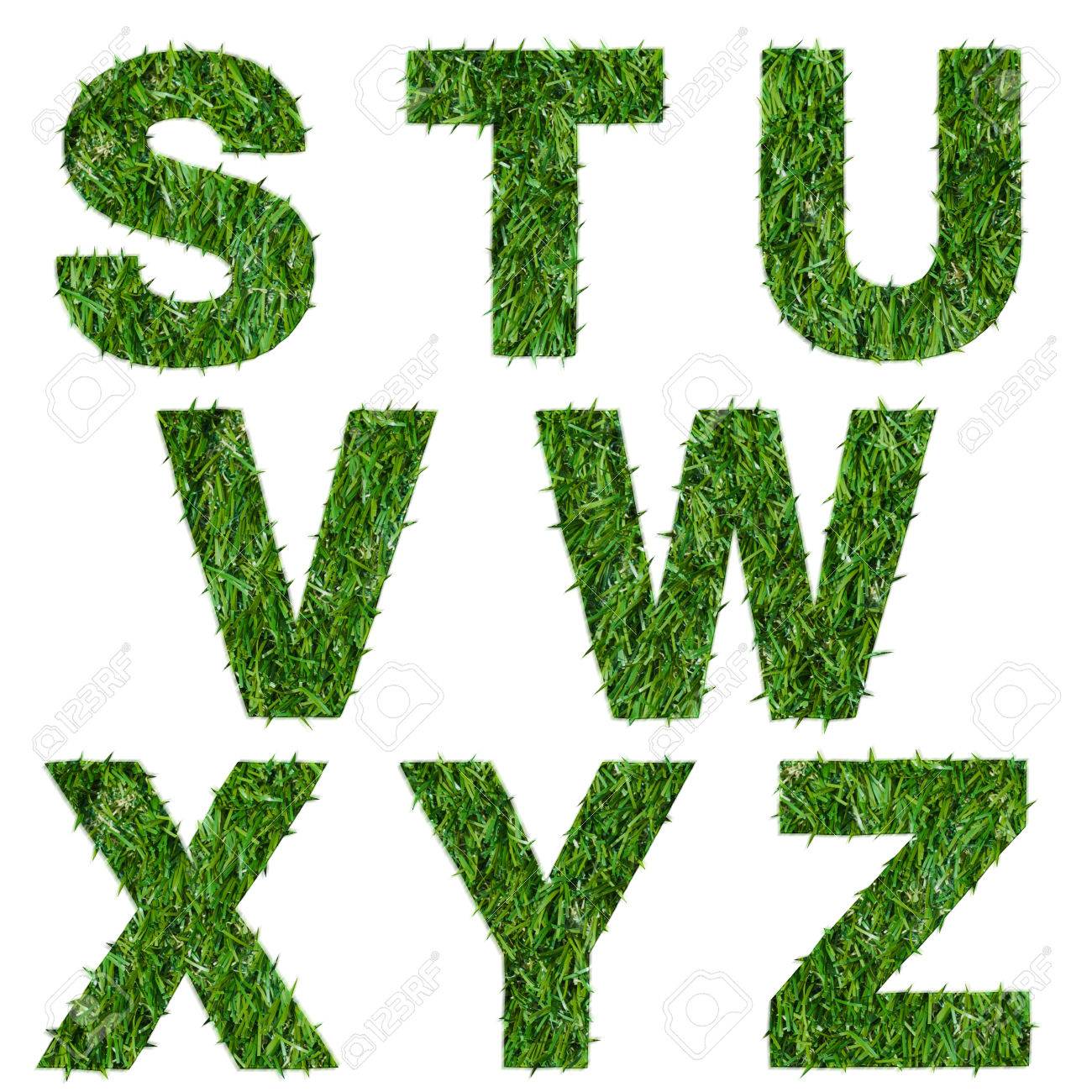 Lettres S T U V W X Y Z De L Herbe Verte Isolee Sur Fond Blanc Banque D Images Et Photos Libres De Droits Image
